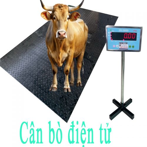 Cân bò điện tử 1.2x2m DS166SS NHẬT 