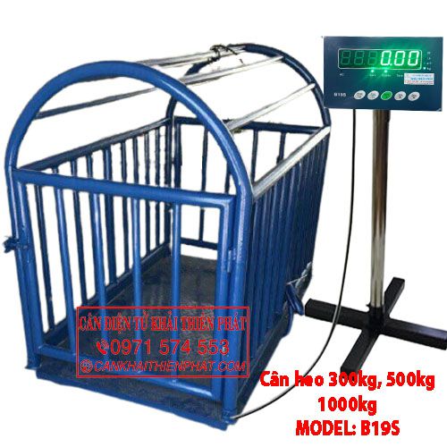 Cân heo điện tử có lồng 300kg 500kg 1000kg AMCELL B19S( USA) 