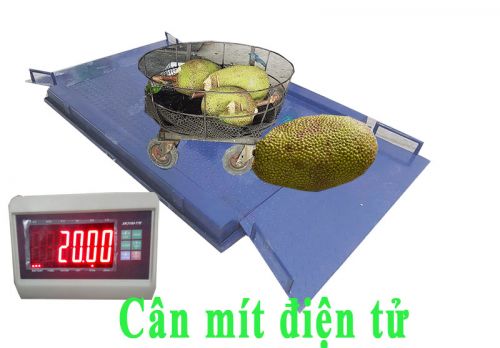 Cân mít điện tử có 2 dốc KT 1.1mx1.6m T7E