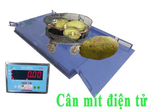Cân mít điện tử có 2 dốc KT 1.1mx1.6m DS166SS-Nhật Bản