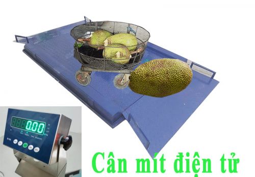 Cân mít điện tử có 2 dốc KT 1.1mx1.6m  B19S